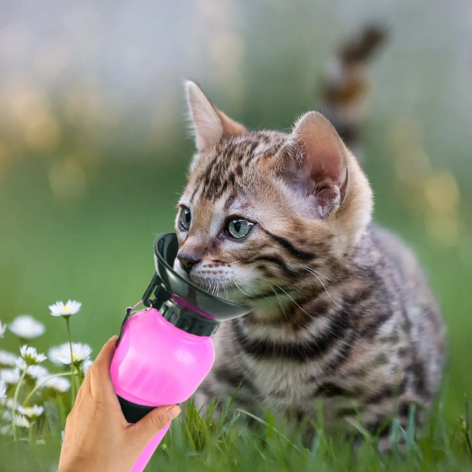 500ml Pet Water Bottle Portable Water Cup