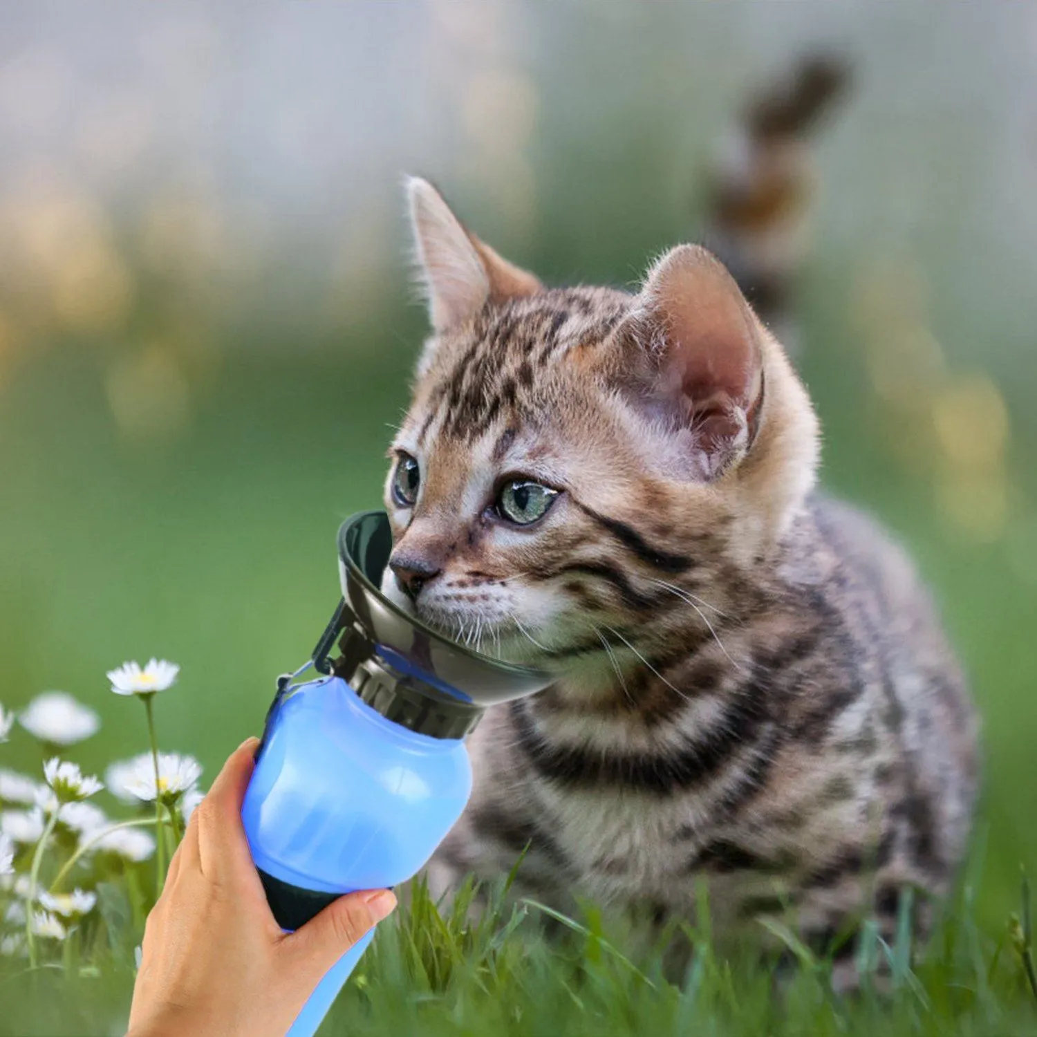 500ml Pet Water Bottle Portable Water Cup