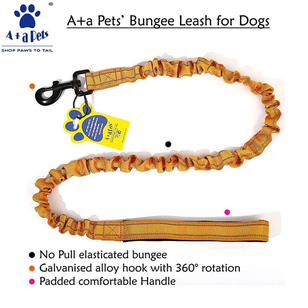 A a Pets' Heavy Duty Bungee Leash - Brown
