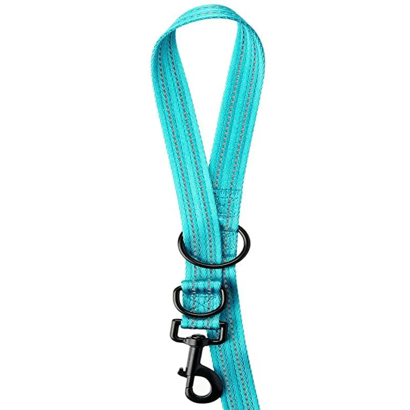 Adjustable Leash With Reflective Stitching