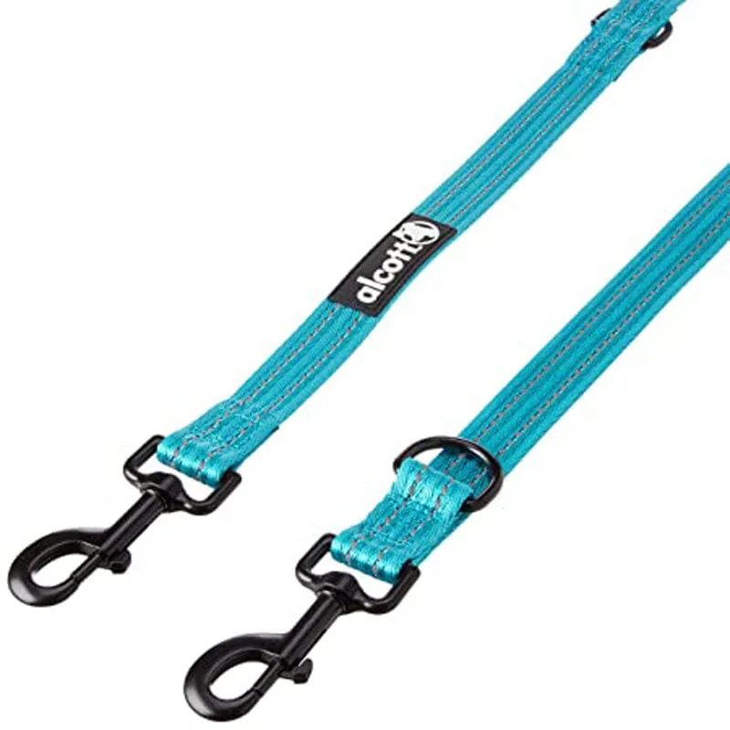 Adjustable Leash With Reflective Stitching