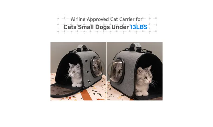 Airline Approved Cat Carrier
