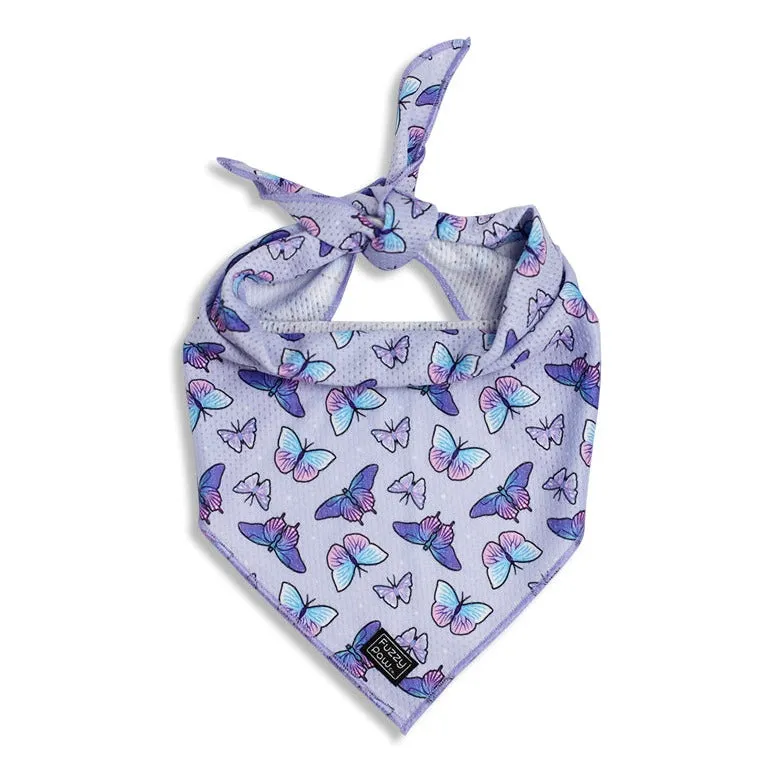 Bandana - Dream Butterfly