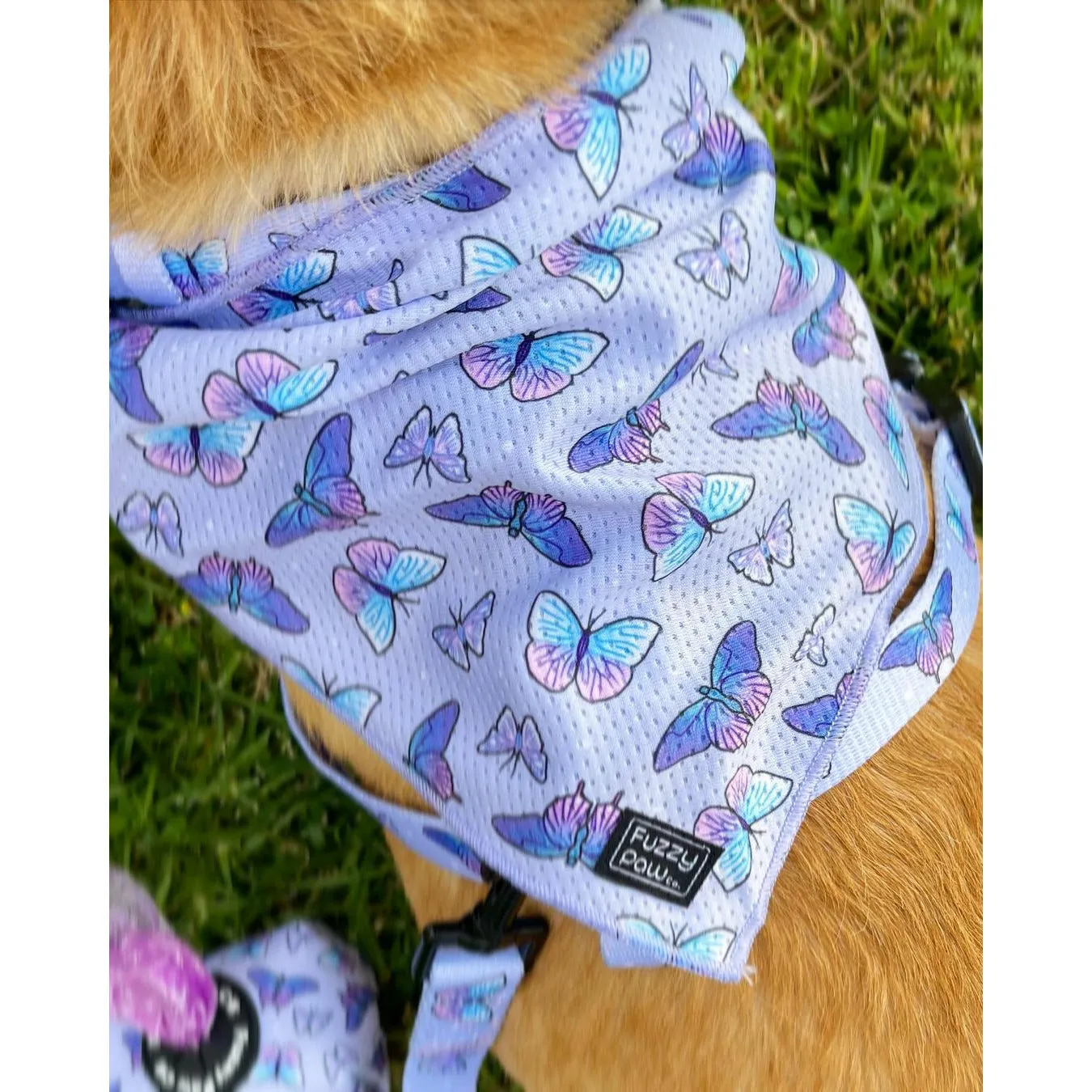 Bandana - Dream Butterfly