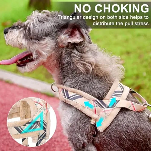 BEAUTYZOO No Pull Small Dog Harness and Leash Set for Small Medium Dogs, Soft Flannel Padded Dog Vest Harness, Adjustable Puppy Harness Front Back Clip Attachment, Quick Fit Easy for Training Walking