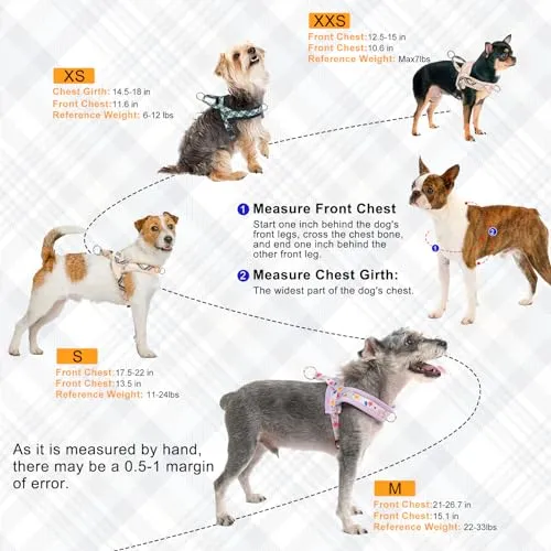BEAUTYZOO No Pull Small Dog Harness and Leash Set for Small Medium Dogs, Soft Flannel Padded Dog Vest Harness, Adjustable Puppy Harness Front Back Clip Attachment, Quick Fit Easy for Training Walking
