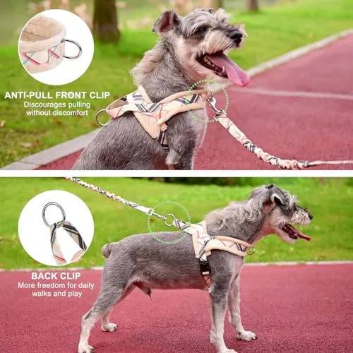BEAUTYZOO No Pull Small Dog Harness and Leash Set for Small Medium Dogs, Soft Flannel Padded Dog Vest Harness, Adjustable Puppy Harness Front Back Clip Attachment, Quick Fit Easy for Training Walking