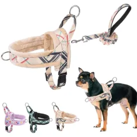 BEAUTYZOO No Pull Small Dog Harness and Leash Set for Small Medium Dogs, Soft Flannel Padded Dog Vest Harness, Adjustable Puppy Harness Front Back Clip Attachment, Quick Fit Easy for Training Walking