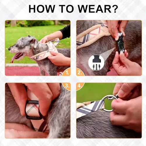 BEAUTYZOO No Pull Small Dog Harness and Leash Set for Small Medium Dogs, Soft Flannel Padded Dog Vest Harness, Adjustable Puppy Harness Front Back Clip Attachment, Quick Fit Easy for Training Walking