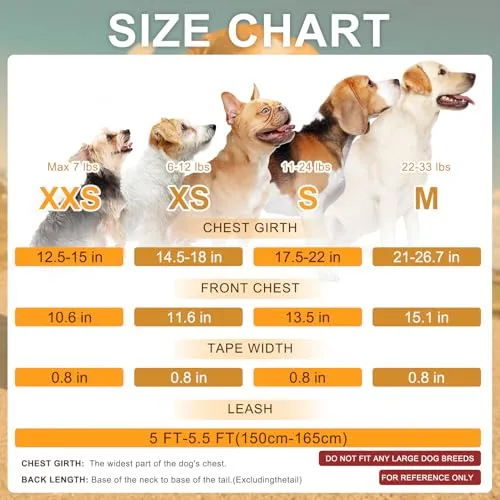 BEAUTYZOO No Pull Small Dog Harness and Leash Set for Small Medium Dogs, Soft Flannel Padded Dog Vest Harness, Adjustable Puppy Harness Front Back Clip Attachment, Quick Fit Easy for Training Walking