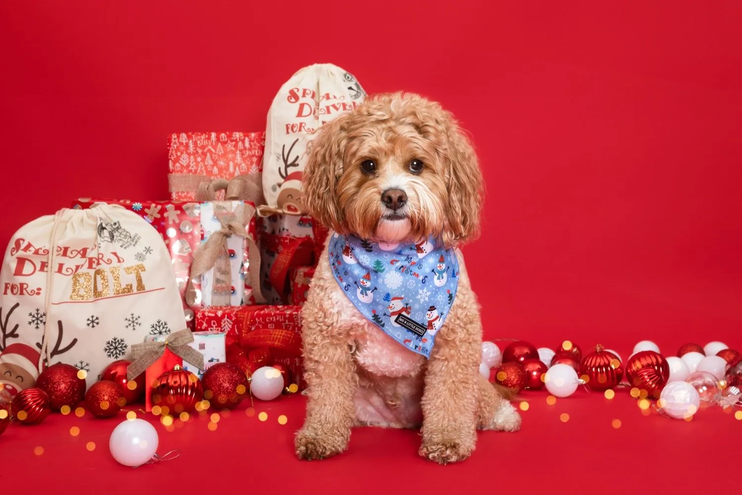 Big & Little Dogs Christmas Bandana - 'Let it Snow'