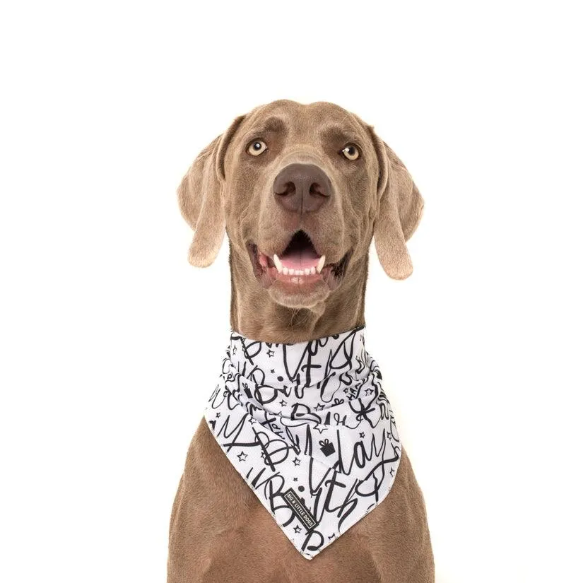 Black & White Birthday Bandana