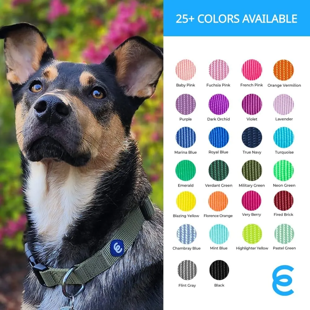 Blueberry Pet Essentials Dog Collar | Adjustable Girl Dog Collars for Medium Dogs | True Navy Puppy Collar | Classic Nylon Dog Collars for Small Dogs | Pet Accessories