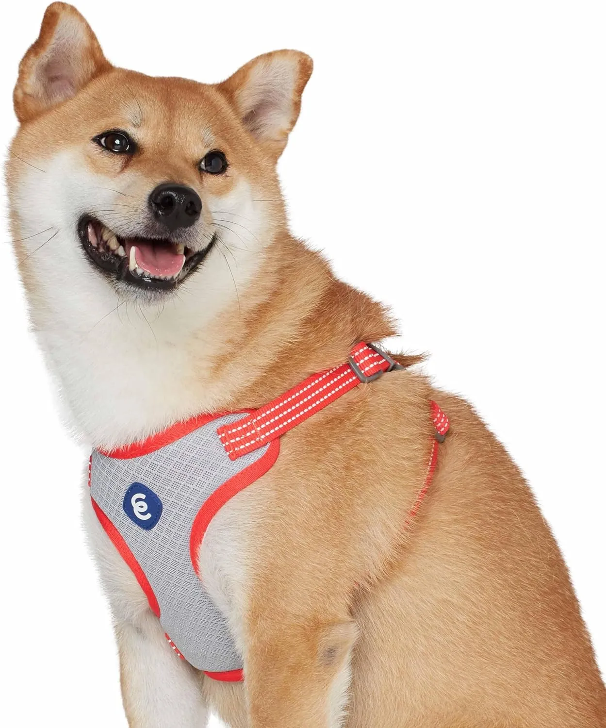 Blueberry Pet Essentials Dog Collar and Leash Harness Set - Reflective Fiery Red Large Dog Harness, 4 ft Leash, Adjustable Collar for Large Dogs, Puppy Harness and Leash Set Training