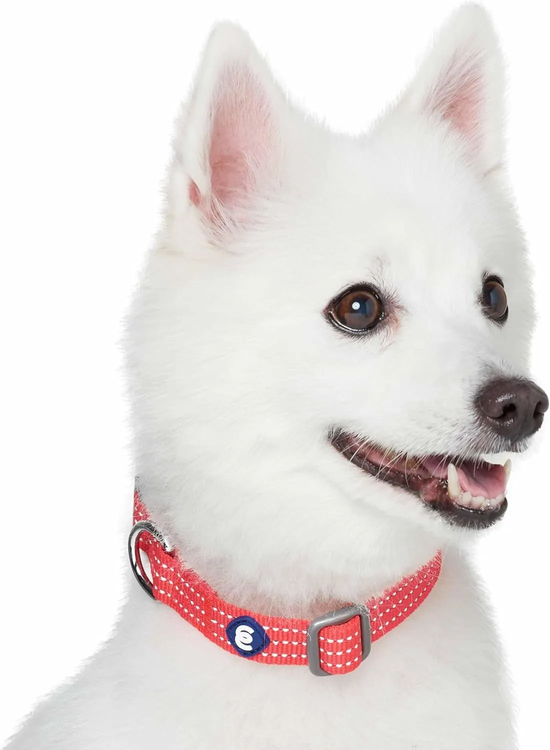 Blueberry Pet Essentials Dog Collar and Leash Harness Set - Reflective Fiery Red Large Dog Harness, 4 ft Leash, Adjustable Collar for Large Dogs, Puppy Harness and Leash Set Training