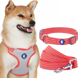 Blueberry Pet Essentials Dog Collar and Leash Harness Set - Reflective Fiery Red Large Dog Harness, 4 ft Leash, Adjustable Collar for Large Dogs, Puppy Harness and Leash Set Training