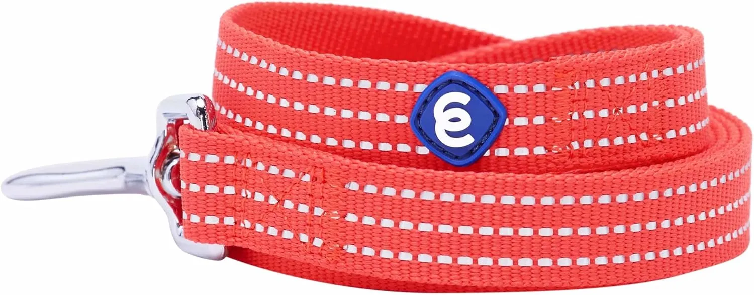Blueberry Pet Essentials Dog Collar and Leash Harness Set - Reflective Fiery Red Large Dog Harness, 4 ft Leash, Adjustable Collar for Large Dogs, Puppy Harness and Leash Set Training