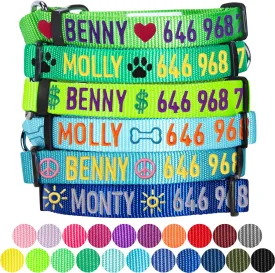 Blueberry Pet Essentials Personalized Martingale Safety Training Dog Collar, Turquoise, Medium, Adjustable Customized ID Collars for Dogs Embroidered with Pet Name & Phone Number