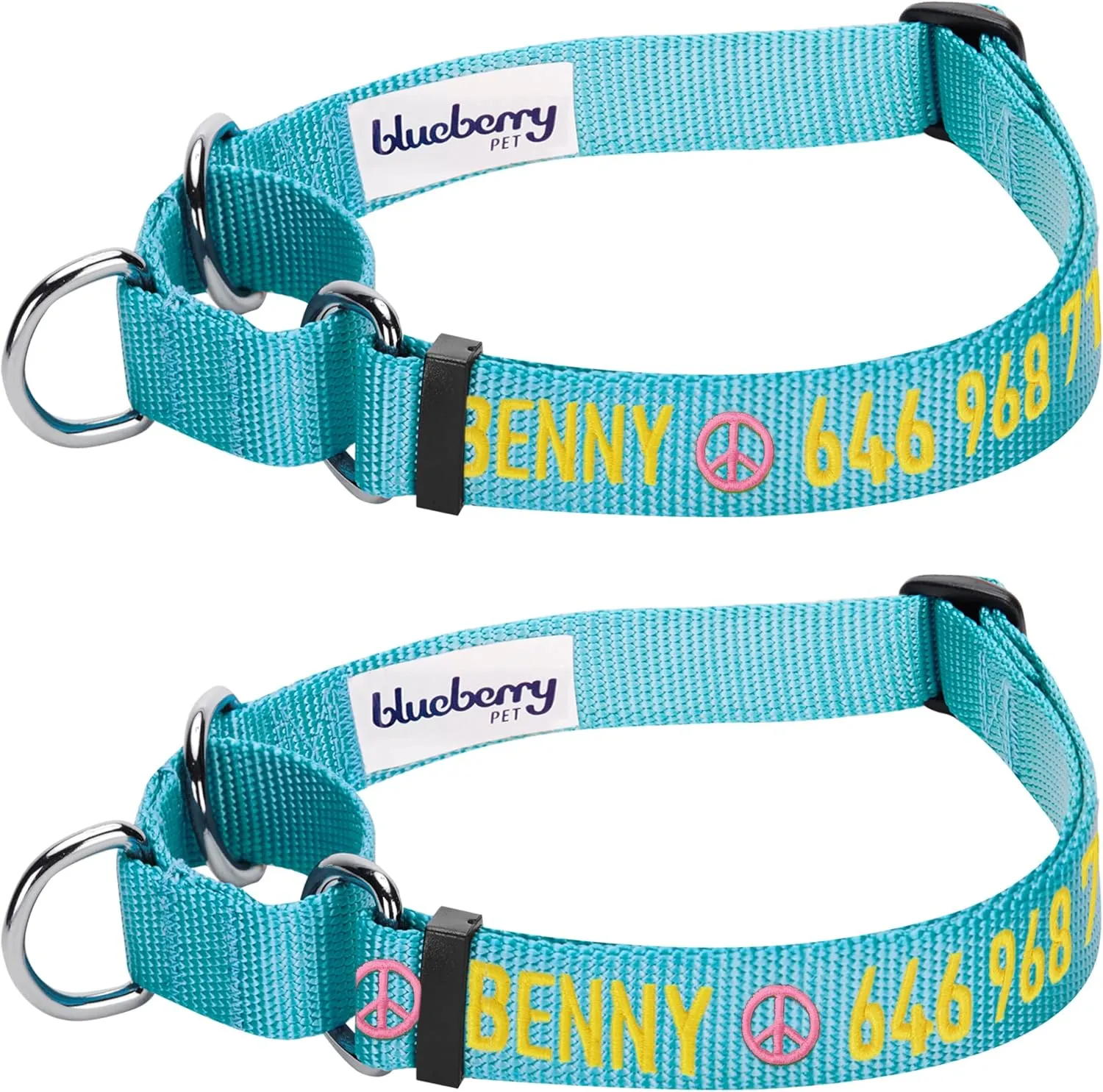 Blueberry Pet Essentials Personalized Martingale Safety Training Dog Collar, Turquoise, Medium, Adjustable Customized ID Collars for Dogs Embroidered with Pet Name & Phone Number