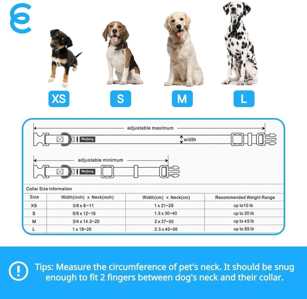 Blueberry Pet Essentials Turquoise X-Small Dog Collar for Boys | Adjustable Eco-Friendly Nylon with Quick Release | Stylish Dog Collars for Small Dogs|Neck Size 8"-11"