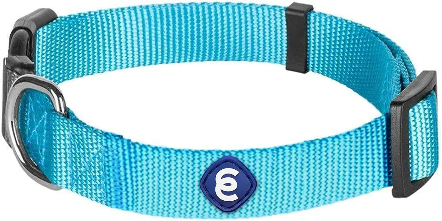 Blueberry Pet Essentials Turquoise X-Small Dog Collar for Boys | Adjustable Eco-Friendly Nylon with Quick Release | Stylish Dog Collars for Small Dogs|Neck Size 8"-11"