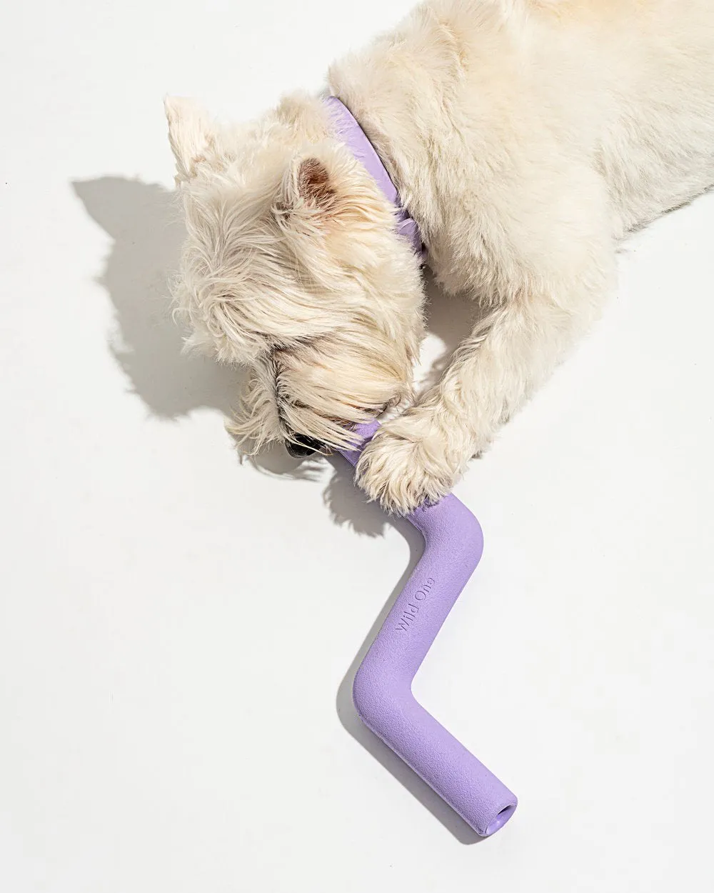 Bolt Bite, Lilac