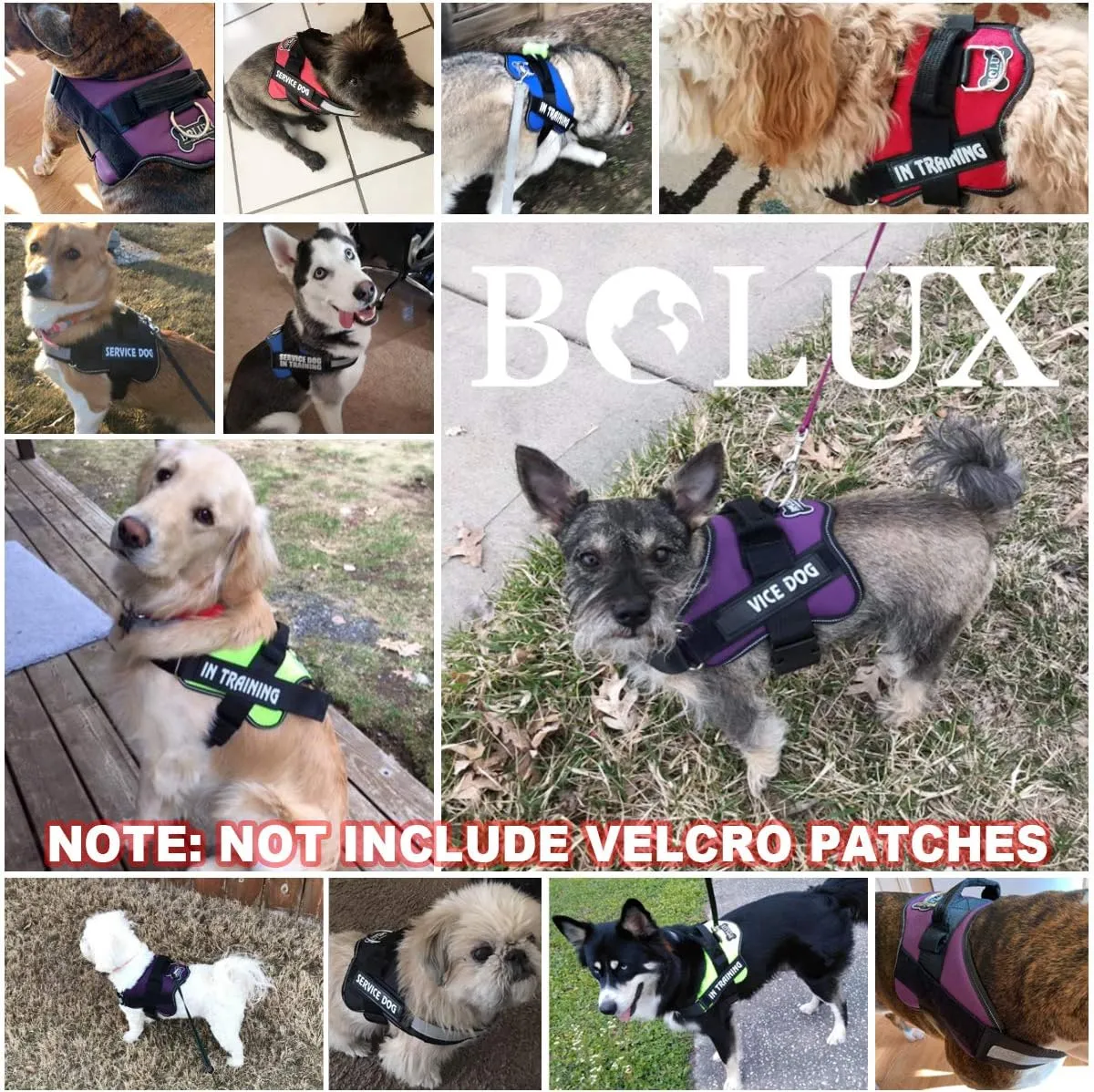 Bolux Dog Harness, No-Pull Reflective Dog Vest, Breathable Adjustable Pet Harness with Handle for Outdoor Walking - No More Pulling, Tugging or Choking (Black, M)