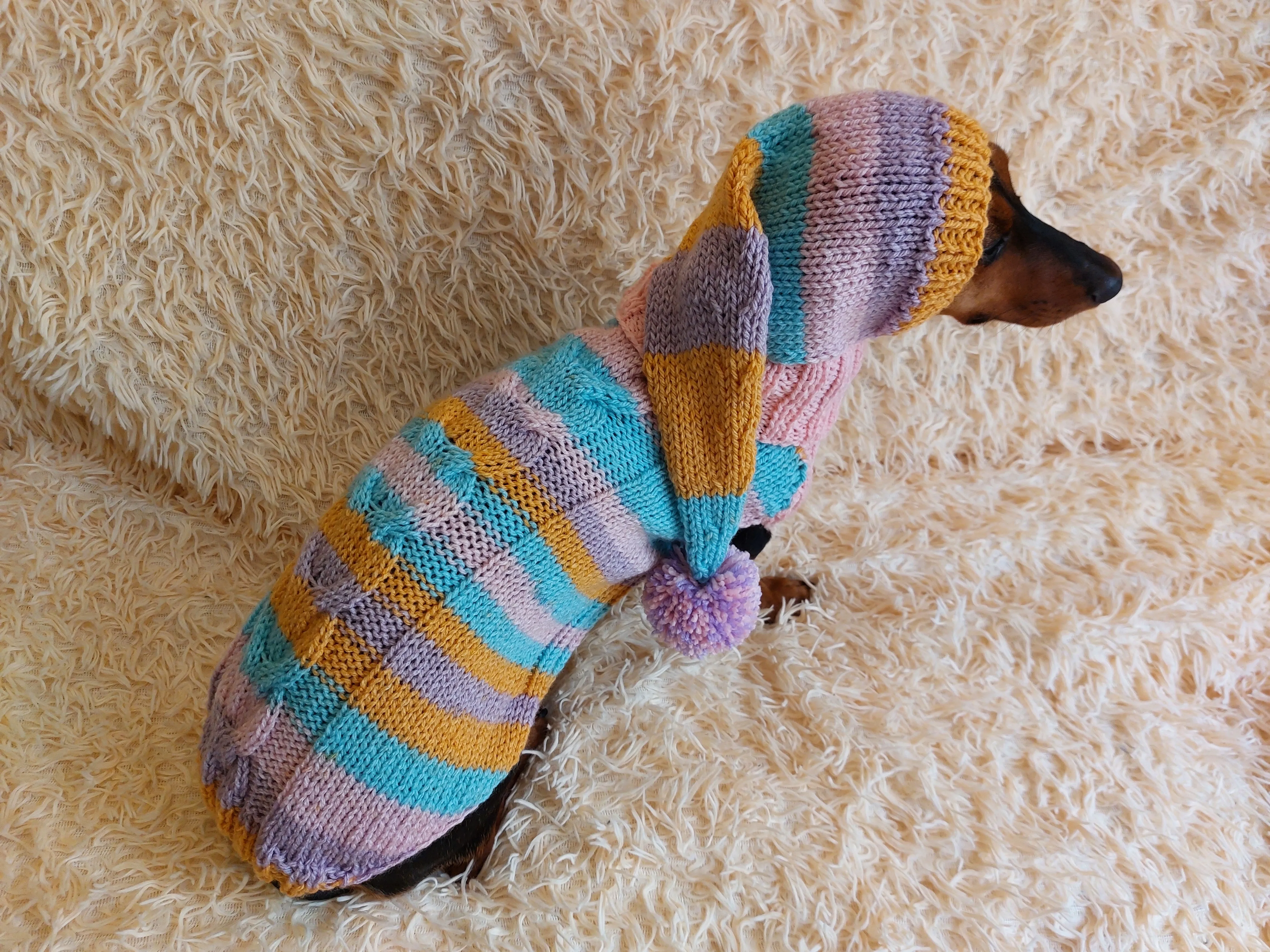 Bright rainbow santa costume for pets, sweater and hat set for dogs