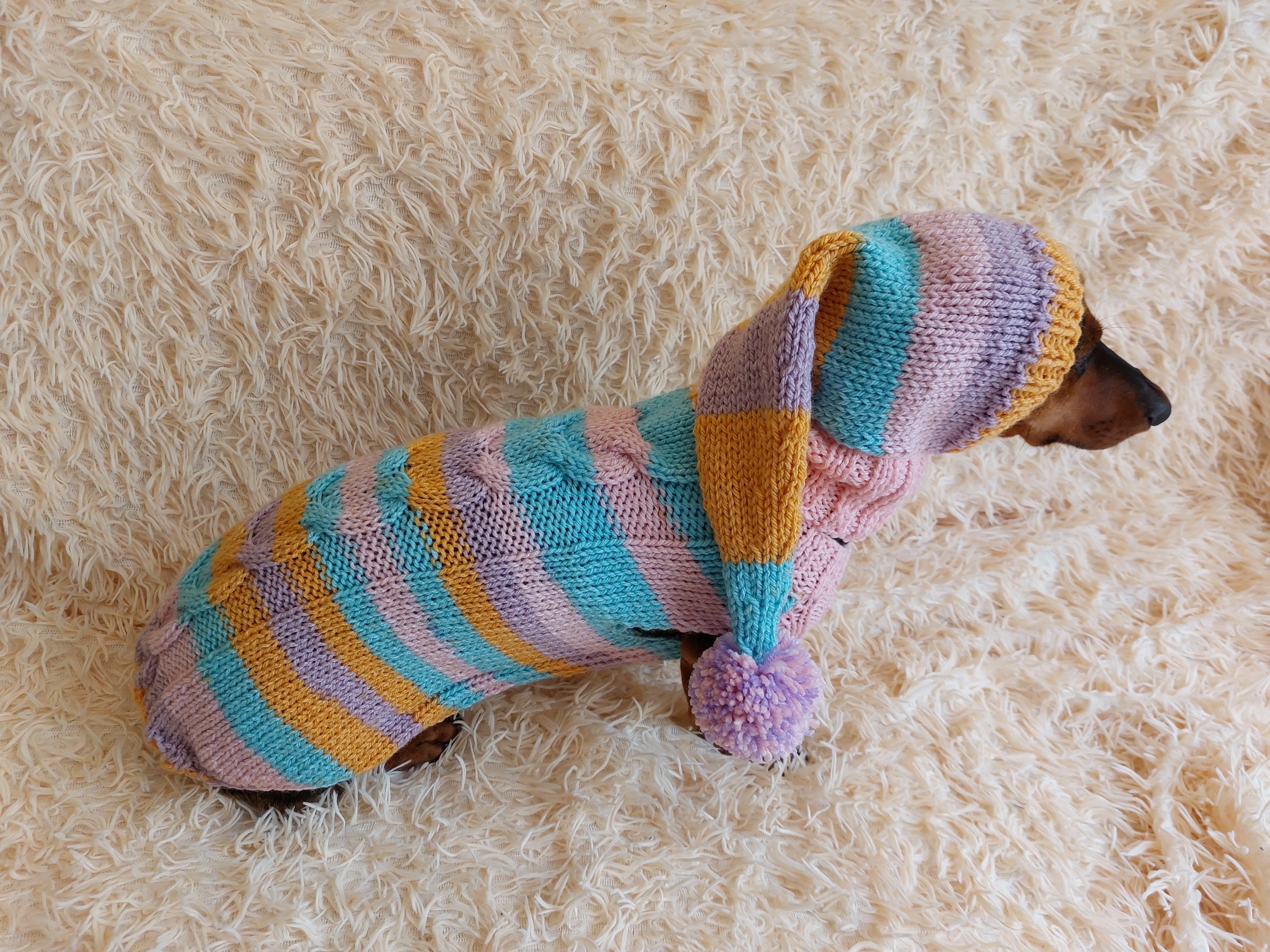 Bright rainbow santa costume for pets, sweater and hat set for dogs