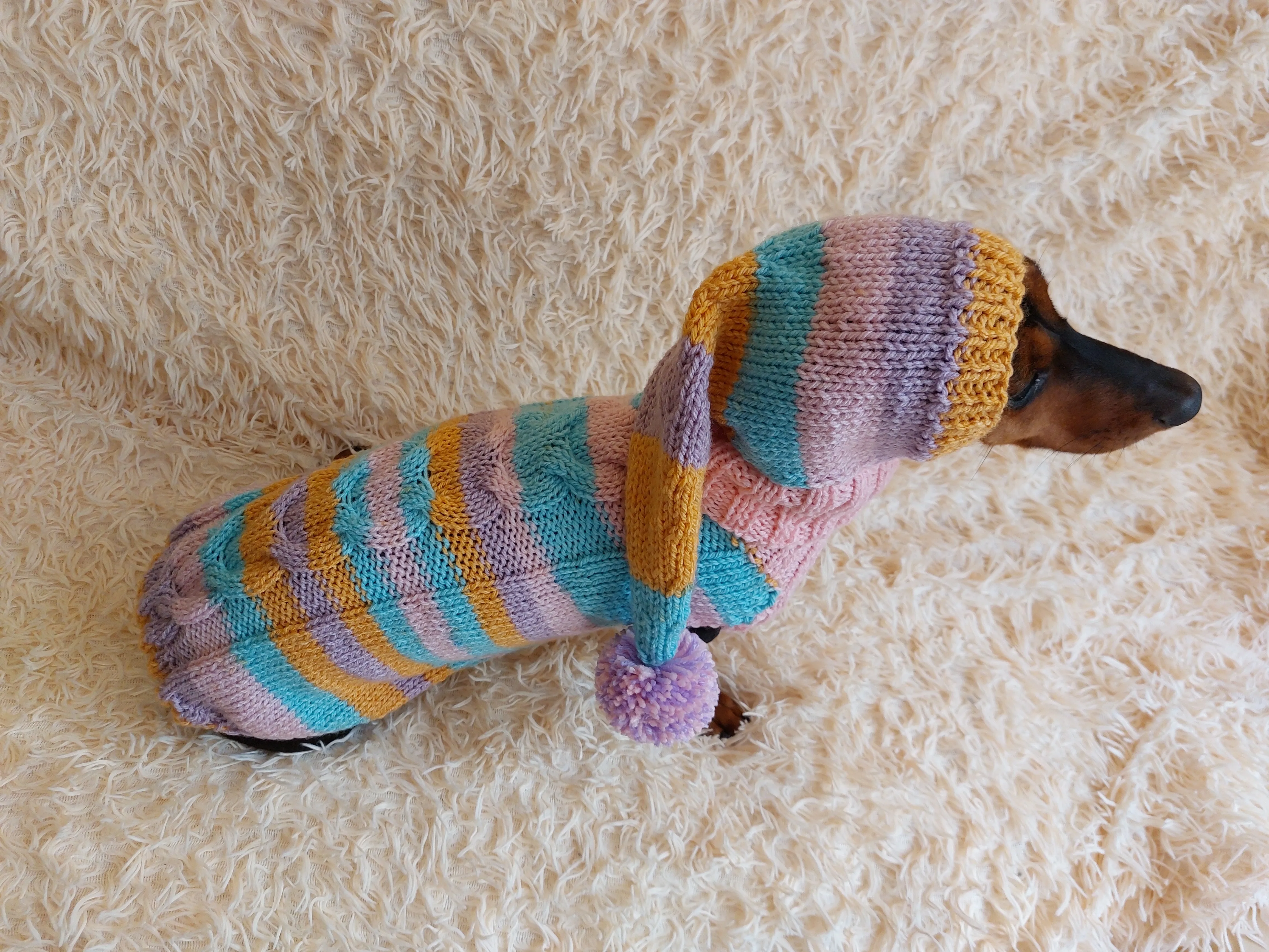 Bright rainbow santa costume for pets, sweater and hat set for dogs