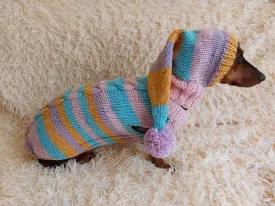 Bright rainbow santa costume for pets, sweater and hat set for dogs
