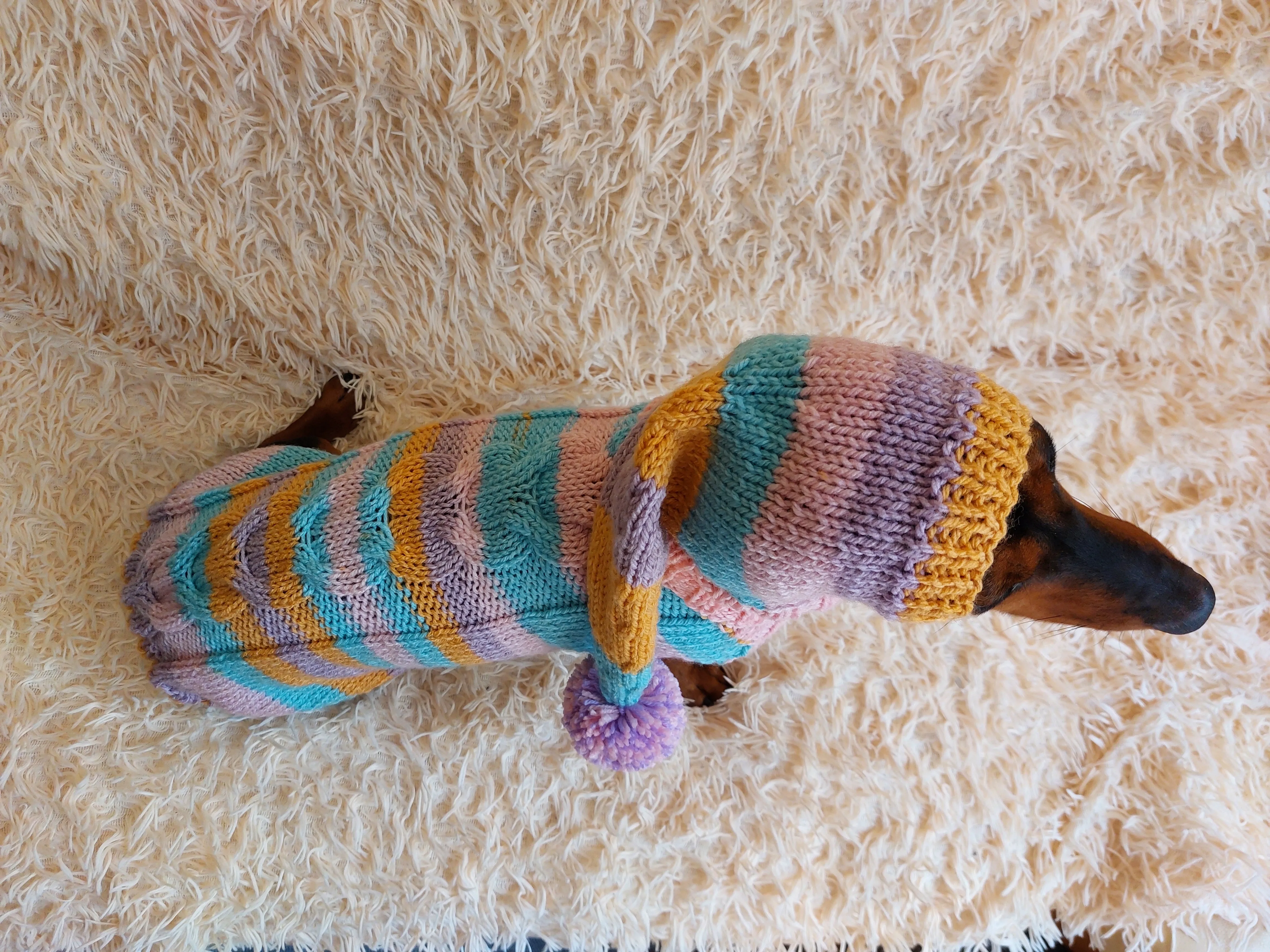 Bright rainbow santa costume for pets, sweater and hat set for dogs