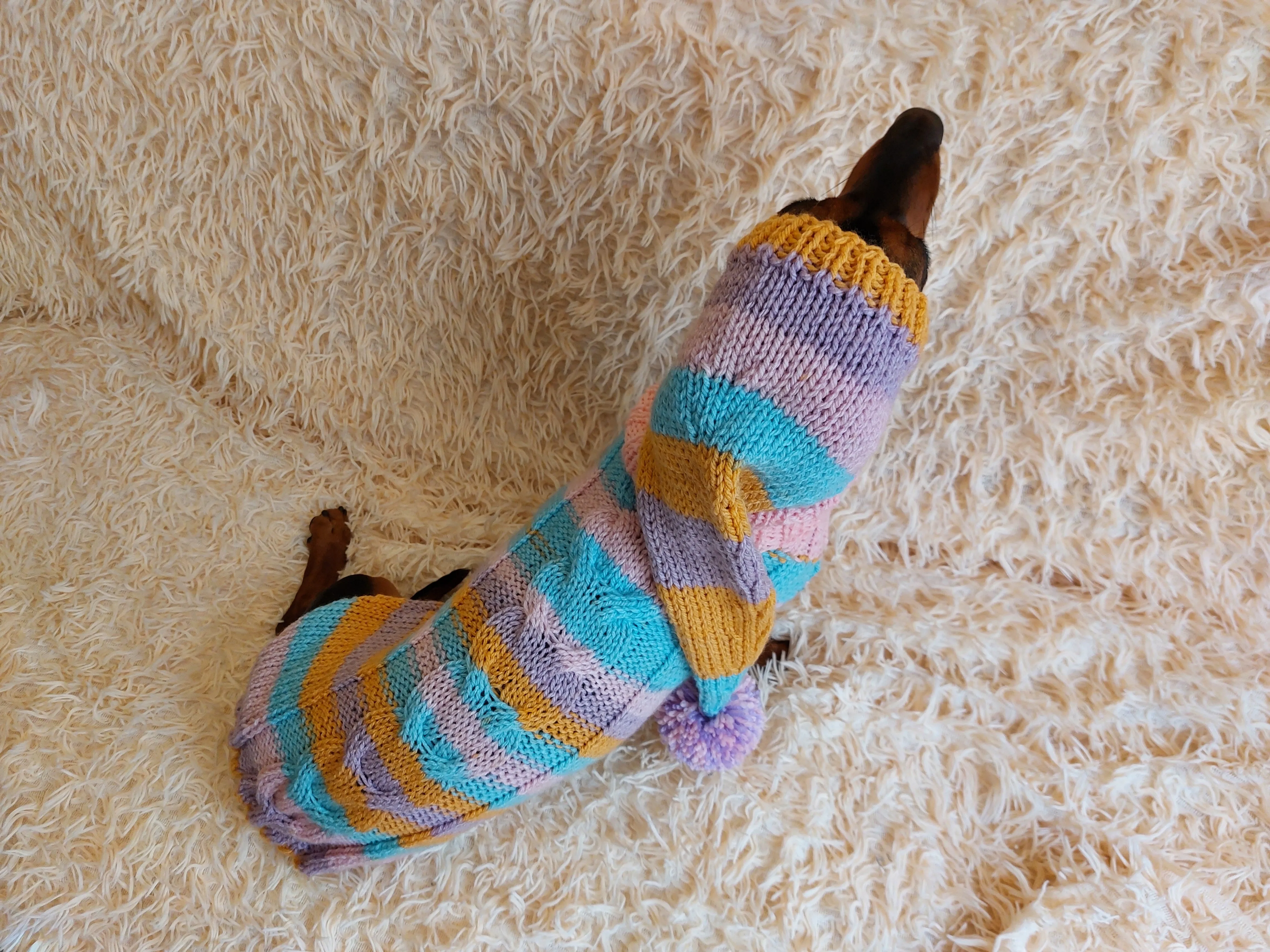 Bright rainbow santa costume for pets, sweater and hat set for dogs