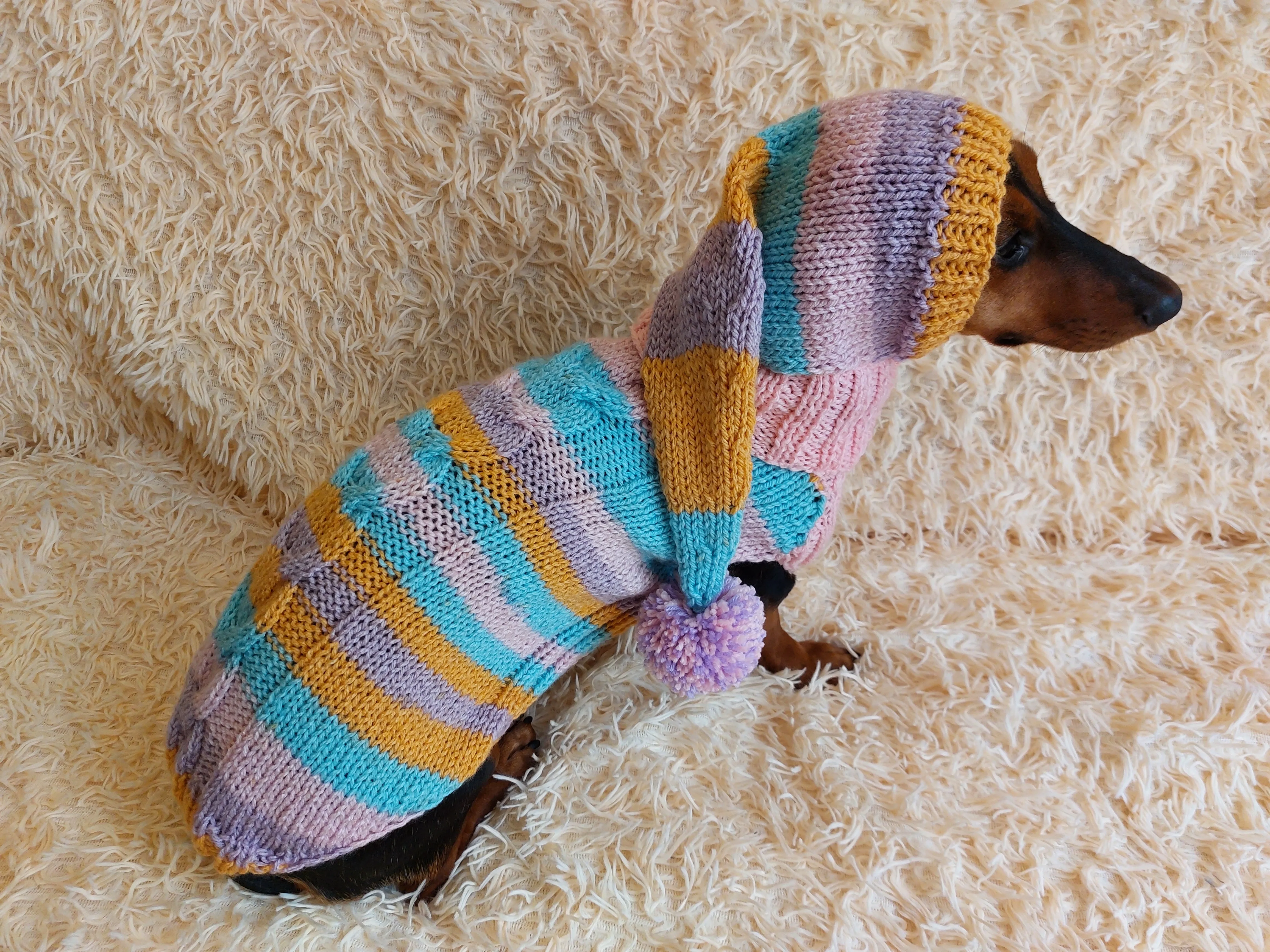 Bright rainbow santa costume for pets, sweater and hat set for dogs
