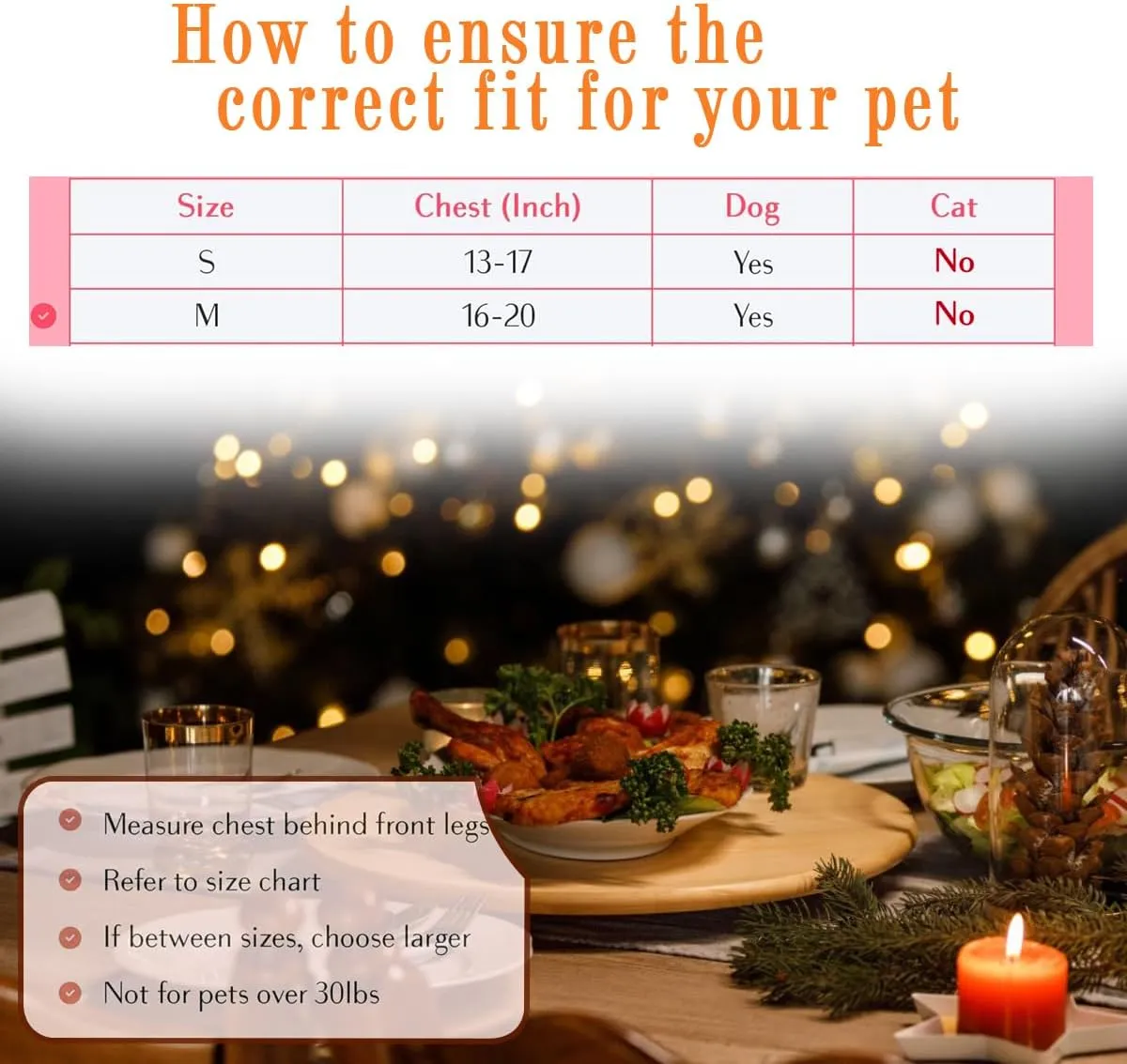 Comfort Fit Dog Harness for Small Medium Large Dogs No Pull Adjustable Pet Harness Easy Control Soft Padded Step in Dog Cat Harness for Walking Running Training All Weather Premium Dog Vest