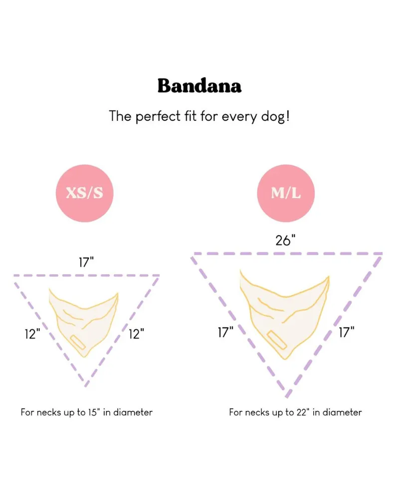 Cooling Dog Bandana in Berne (FINAL SALE) (SUM24LO)
