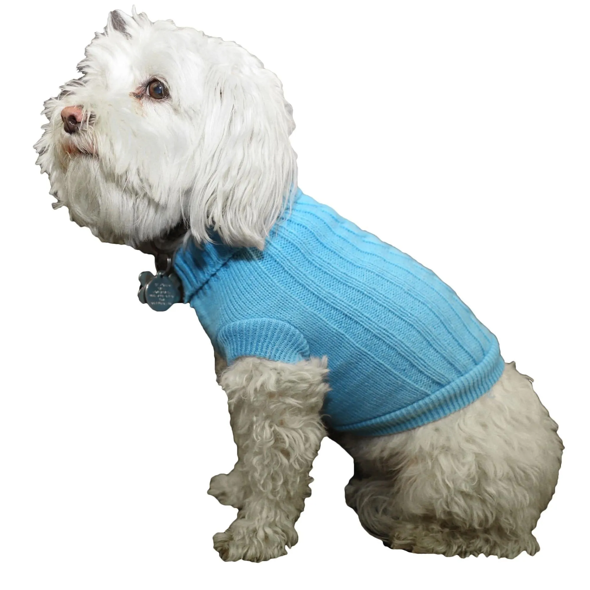 Cotton Rib-Collared Sweater