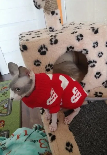 Cozy Knitted Sweater for Small to Medium Dogs and Cats