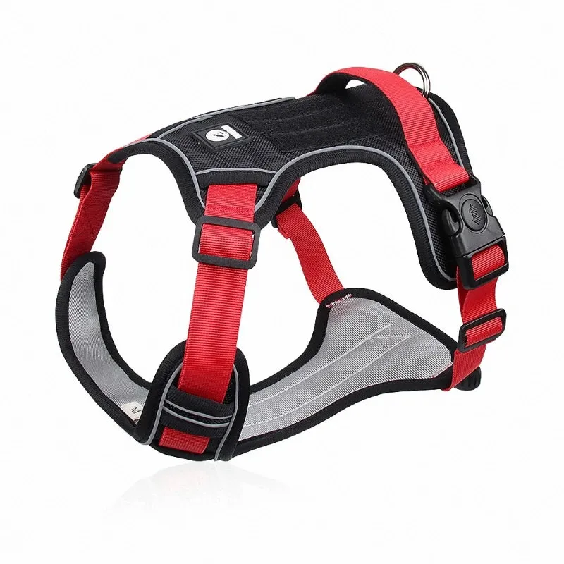 Dapper Pet: Adjustable Reflective Harness