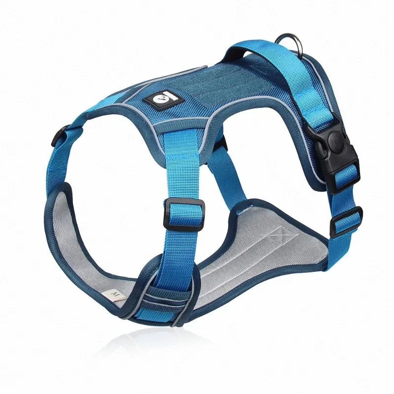 Dapper Pet: Adjustable Reflective Harness