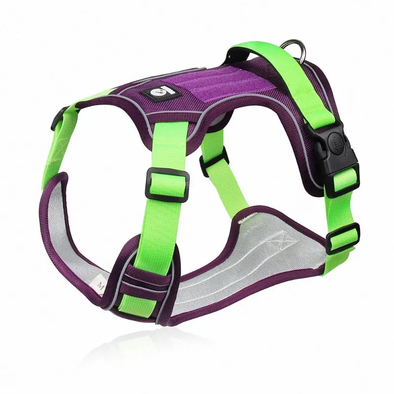Dapper Pet: Adjustable Reflective Harness