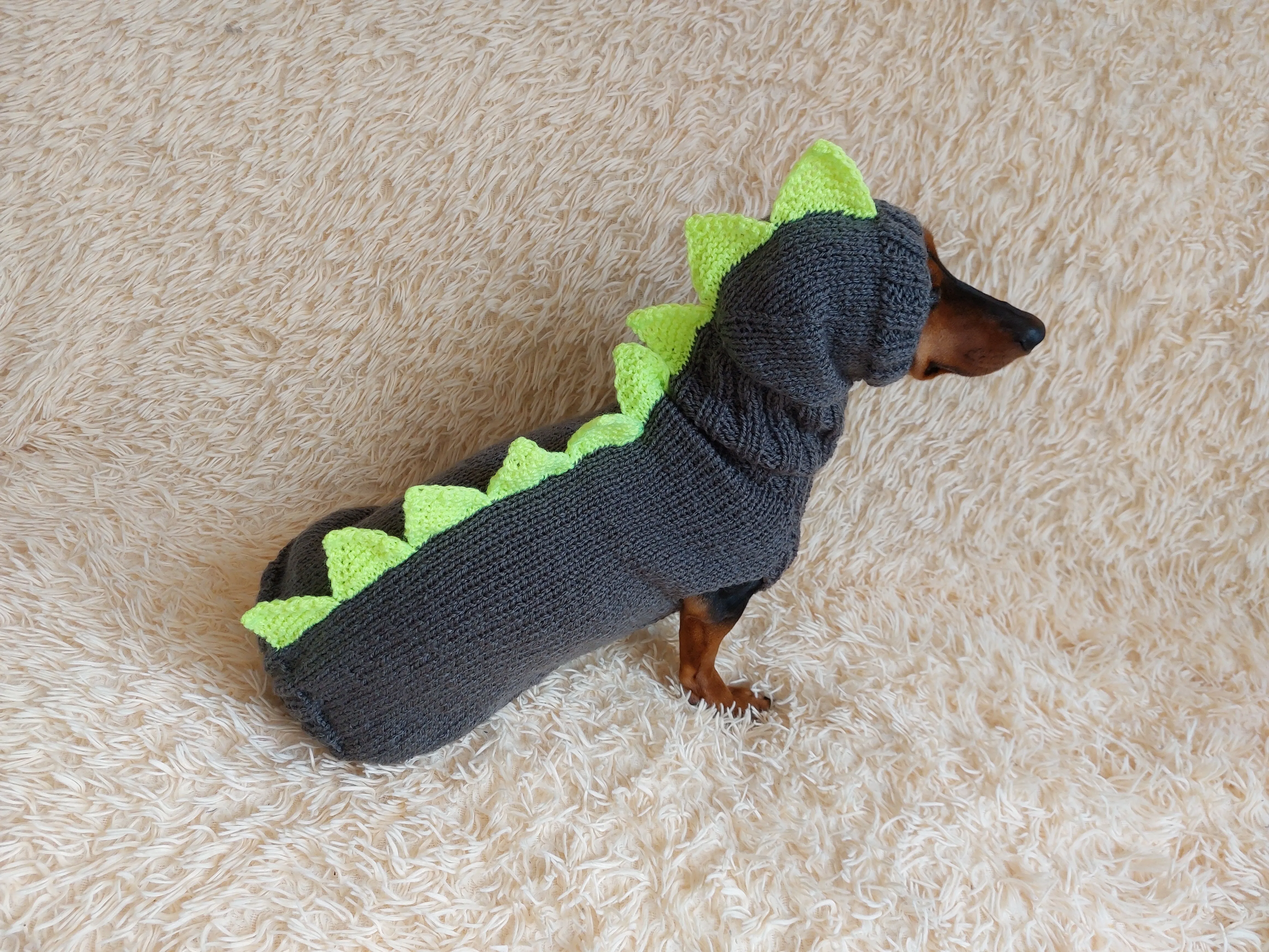Dinosaur Dragon Costume Sweater and Hat Zoo Animal Clothes