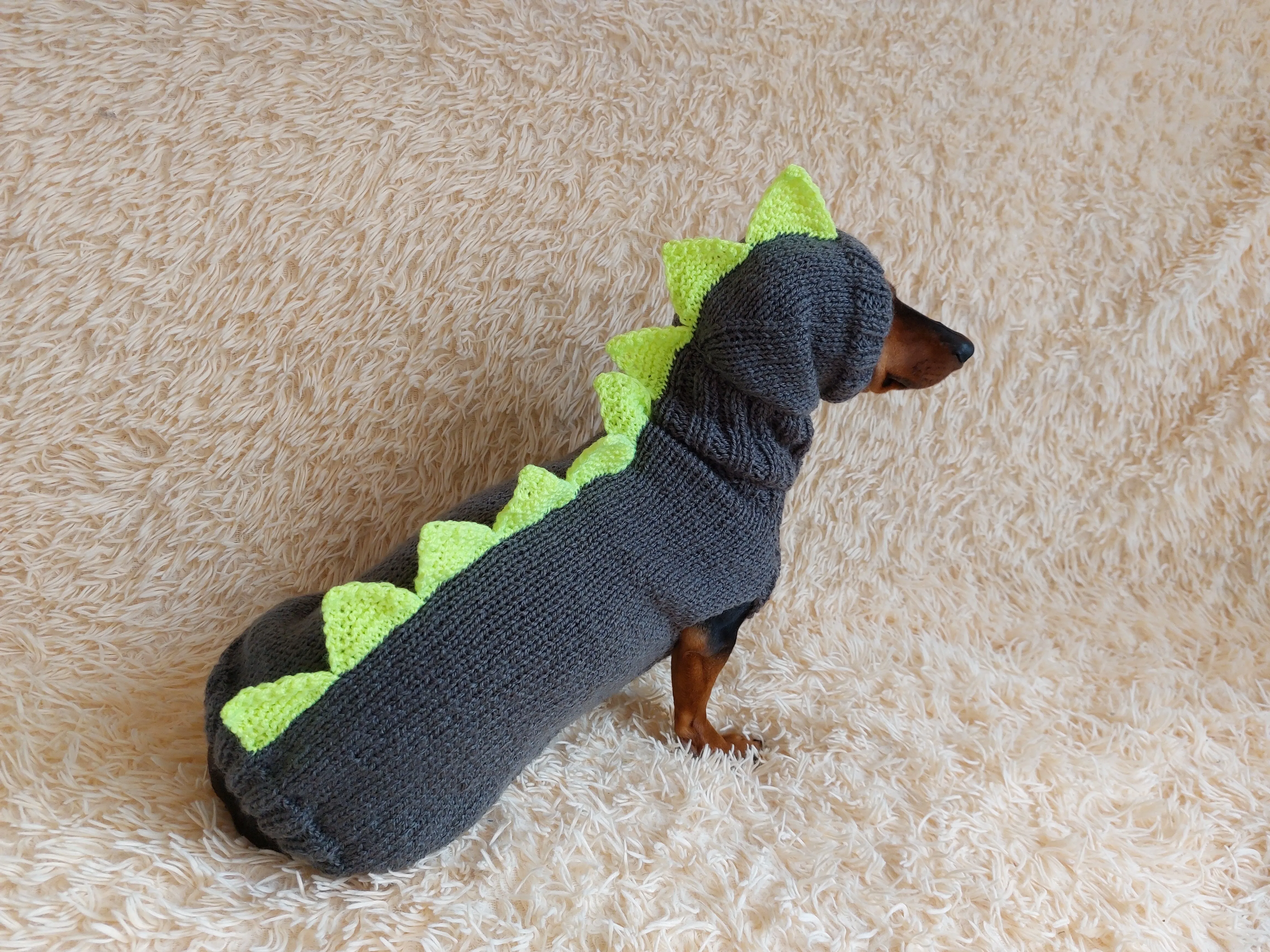 Dinosaur Dragon Costume Sweater and Hat Zoo Animal Clothes