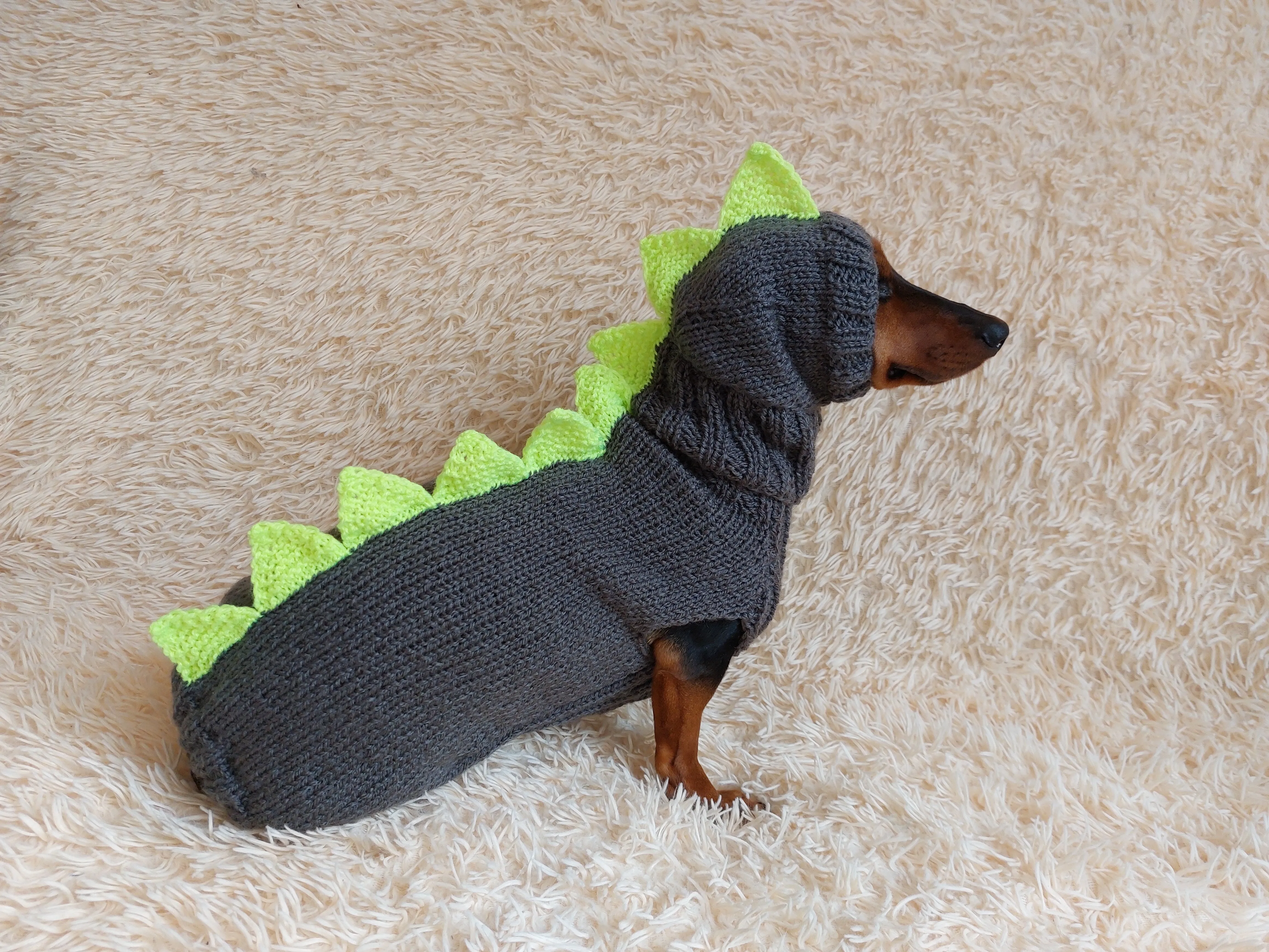 Dinosaur Dragon Costume Sweater and Hat Zoo Animal Clothes