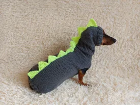 Dinosaur Dragon Costume Sweater and Hat Zoo Animal Clothes