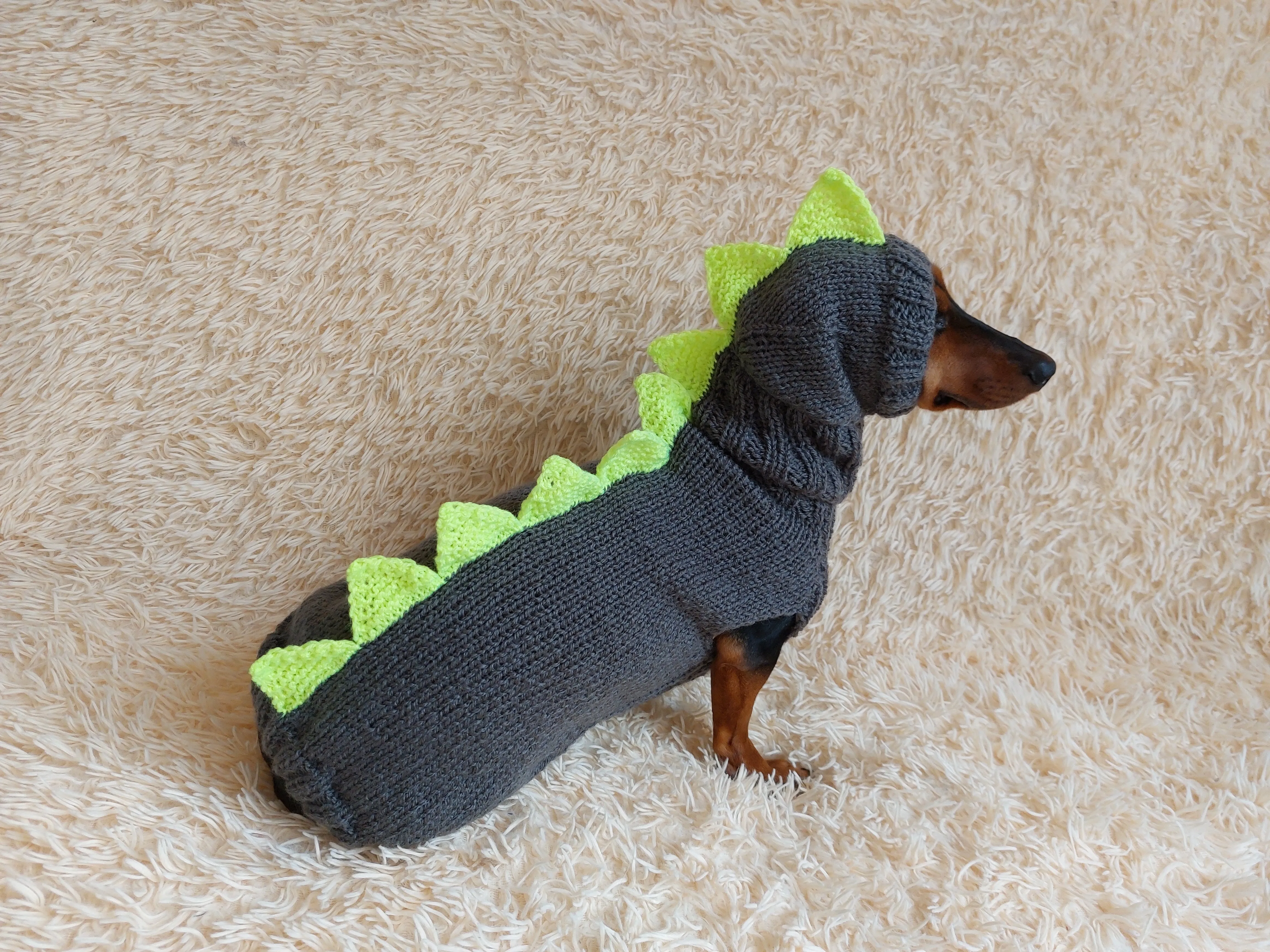 Dinosaur Dragon Costume Sweater and Hat Zoo Animal Clothes