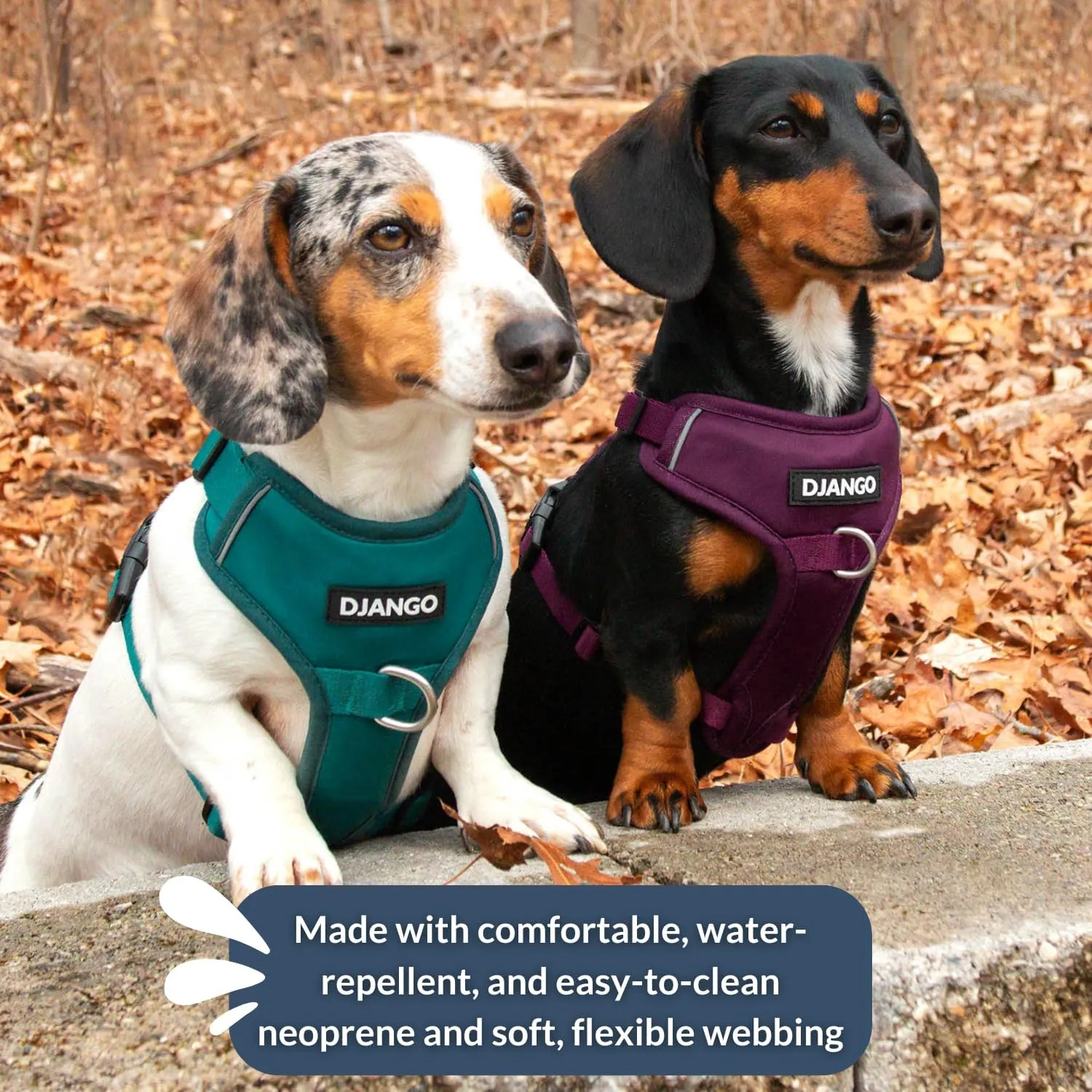 DJANGO Tahoe No Pull Dog Harness - Durable and Comfortable Neoprene Pet Harness for Dogs - Padded Pet Harness for Everyday Use - Adjustable Pet Harness for Medium Dogs - Teal Green Medium Dog Harness