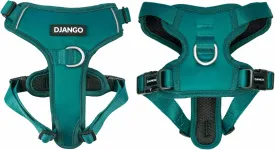 DJANGO Tahoe No Pull Dog Harness - Durable and Comfortable Neoprene Pet Harness for Dogs - Padded Pet Harness for Everyday Use - Adjustable Pet Harness for Medium Dogs - Teal Green Medium Dog Harness