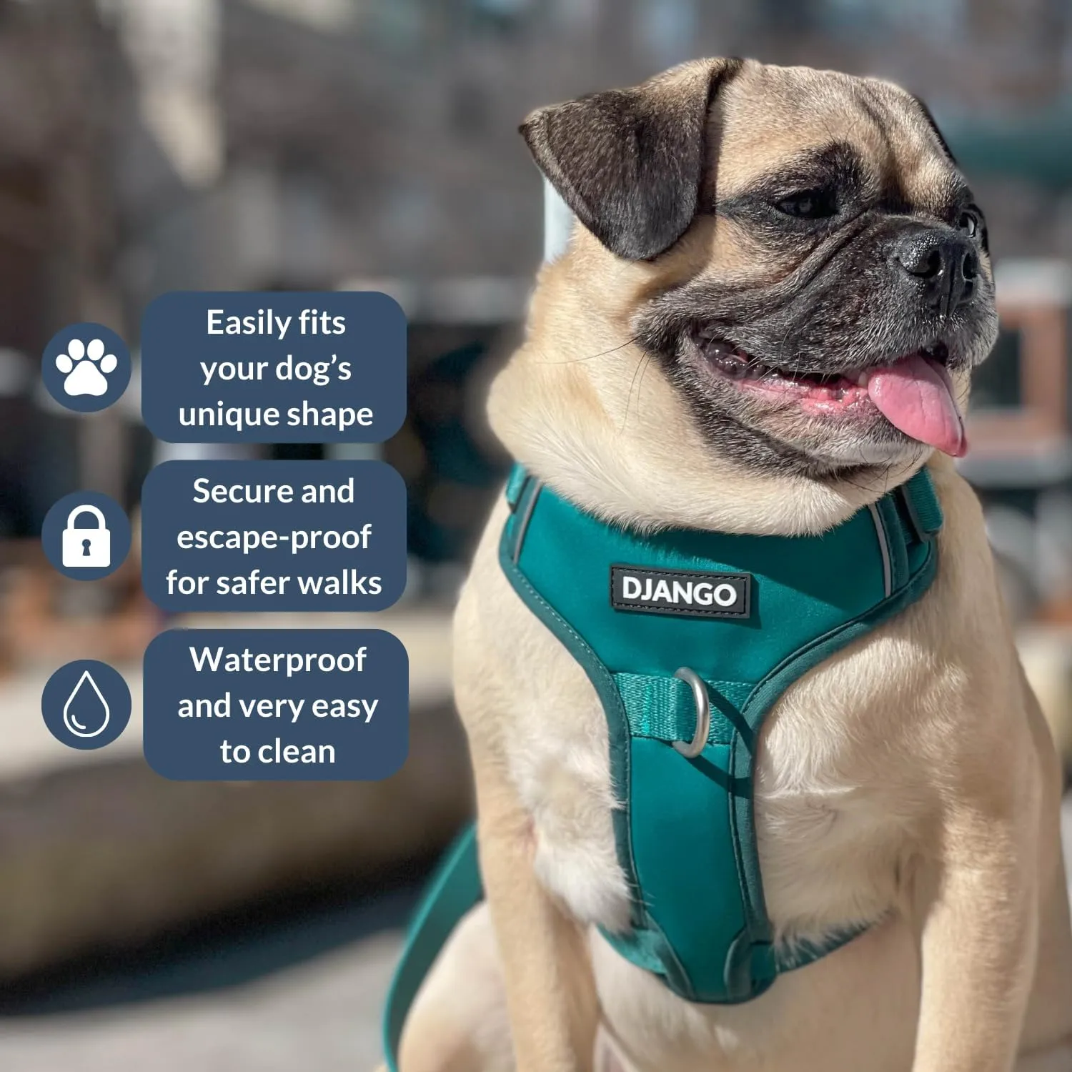 DJANGO Tahoe No Pull Dog Harness - Durable and Comfortable Neoprene Pet Harness for Dogs - Padded Pet Harness for Everyday Use - Adjustable Pet Harness for Medium Dogs - Teal Green Medium Dog Harness