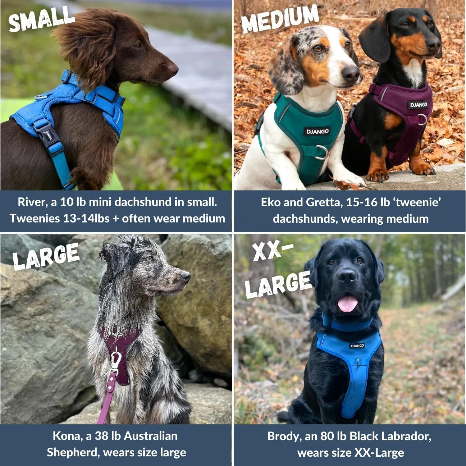 DJANGO Tahoe No Pull Dog Harness - Durable and Comfortable Neoprene Pet Harness for Dogs - Padded Pet Harness for Everyday Use - Adjustable Pet Harness for Medium Dogs - Teal Green Medium Dog Harness